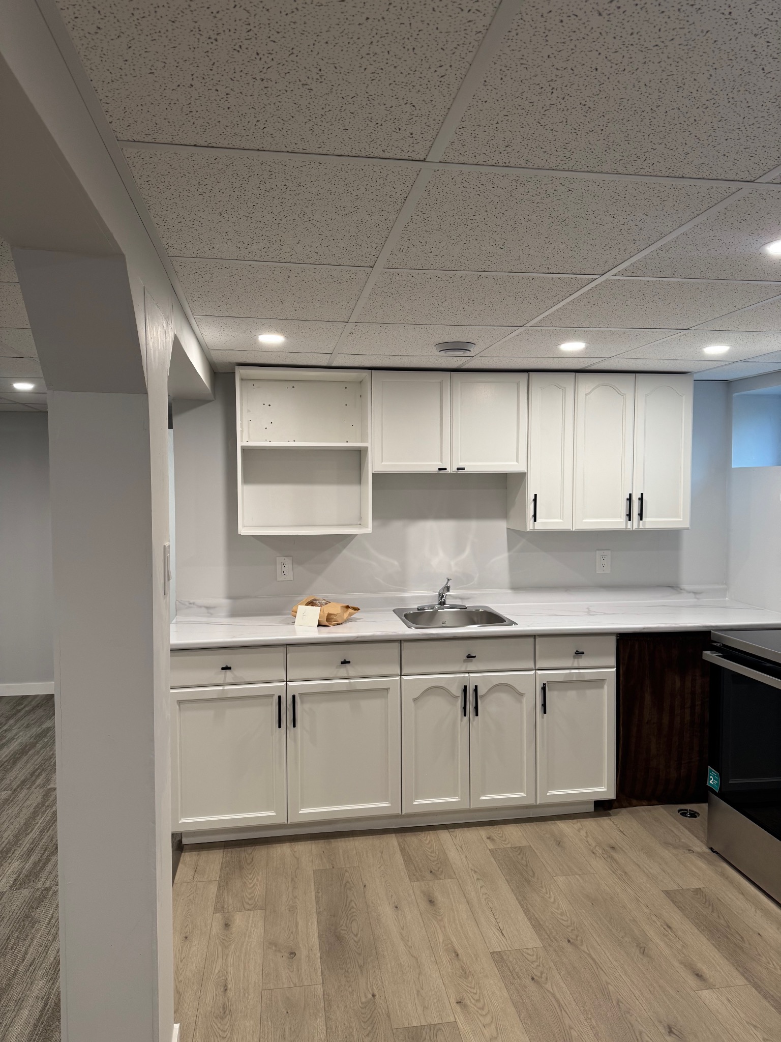Lower Suite kitchen cabinetry and counter space